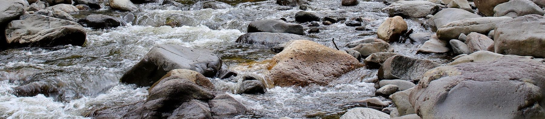 Environmental-Due-Diligence-Banner